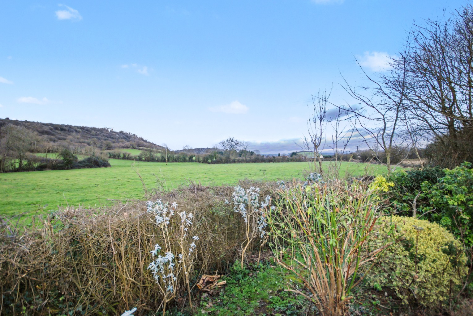 Rural setting Nr. Wookey, photo 26