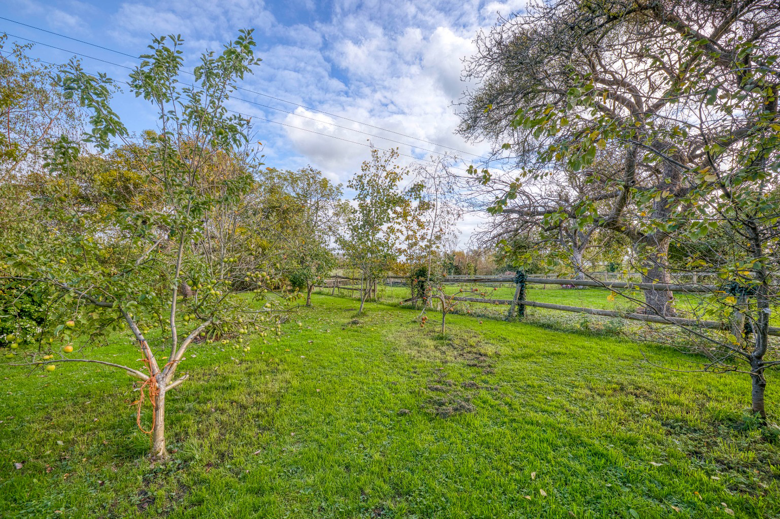 Rural setting Nr. Wookey, photo 23