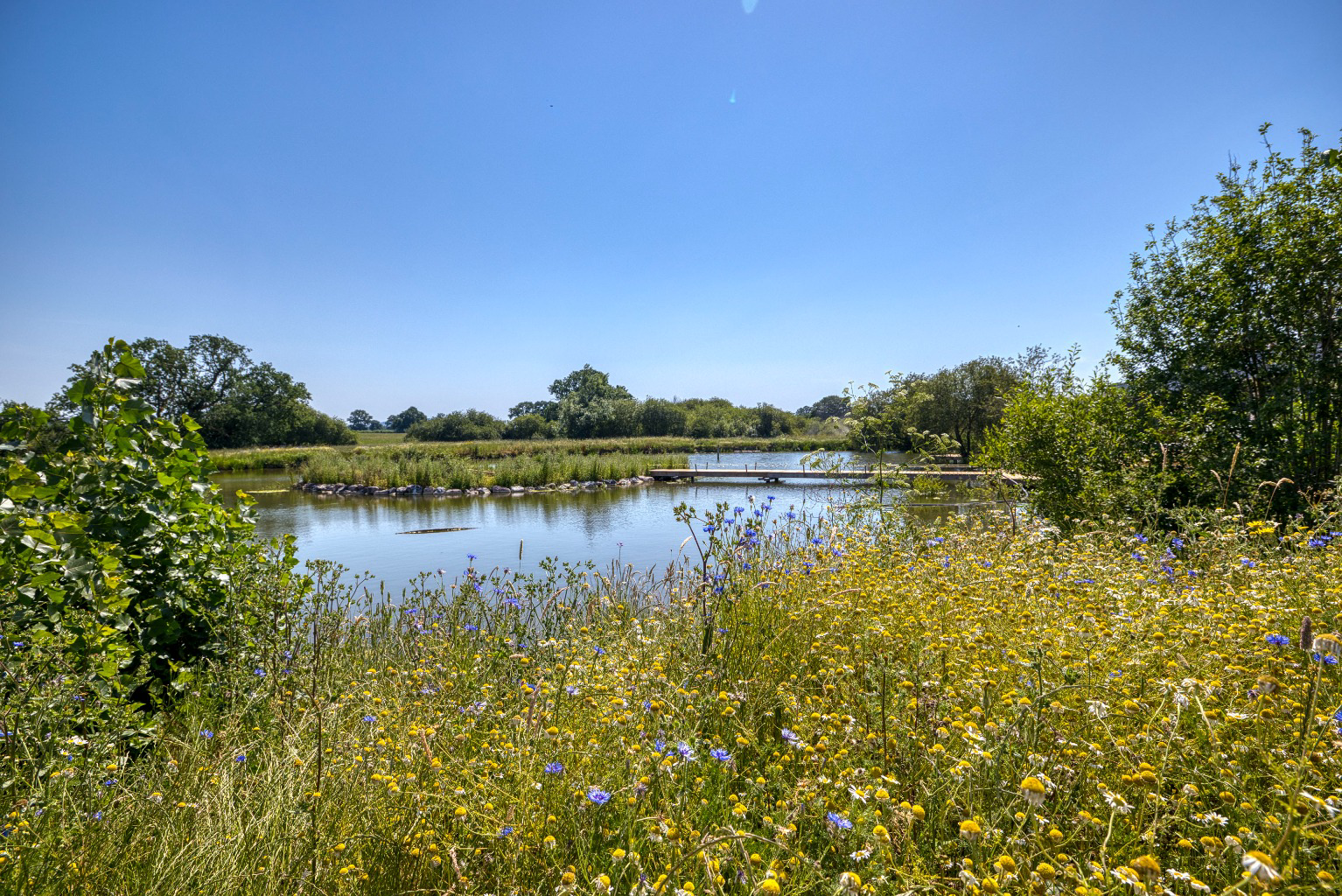 Kings Wood Farm, near Gillingham and Shaftesbury, photo 5