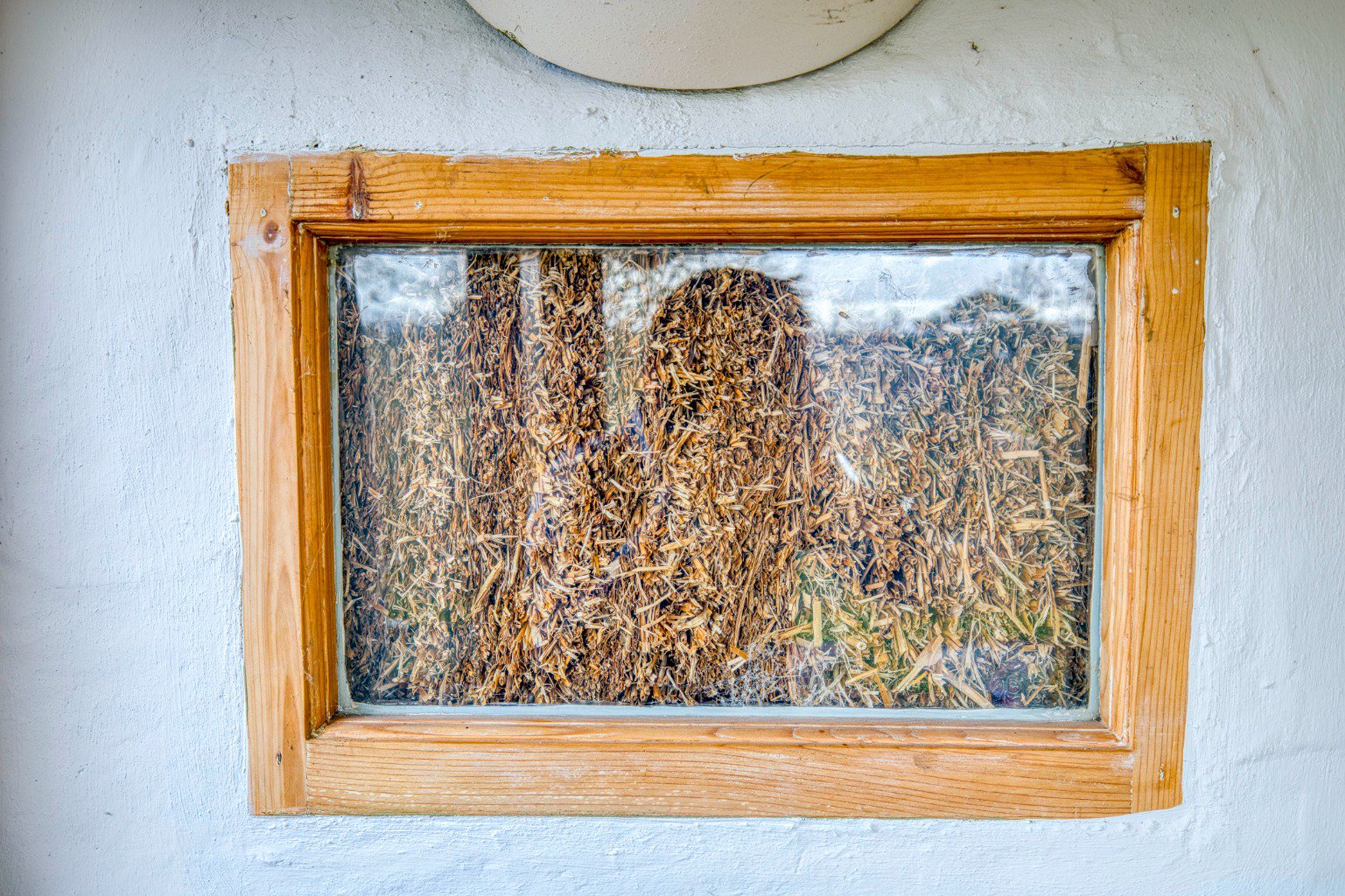 Eco home between Wells and Wedmore with expansive views, photo 16