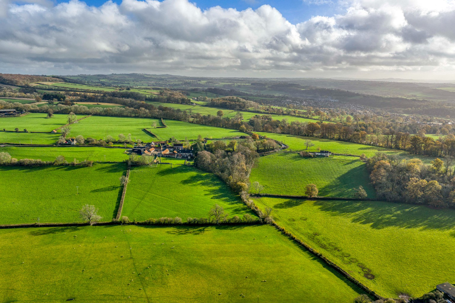 Manor house with circa 26 acres, a mile from Wells, photo 48