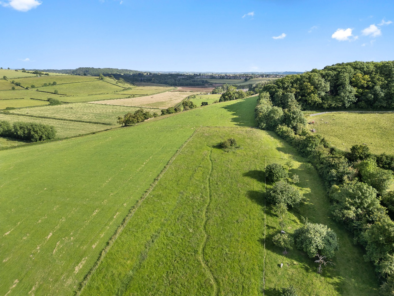 Etsome Hill, Somerton, photo 33