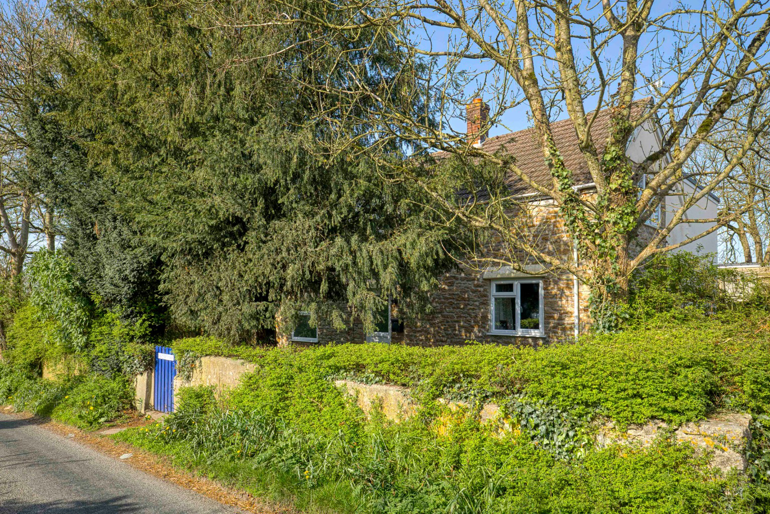 Wyke Champflower, near Bruton, photo 23