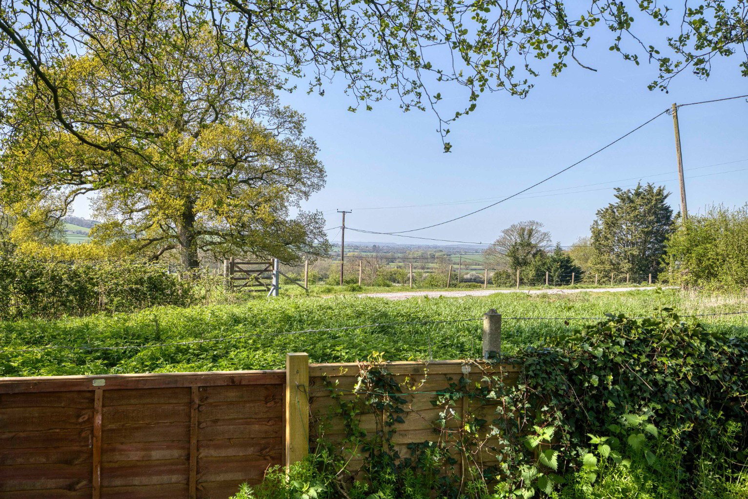 Wyke Champflower, near Bruton, photo 21