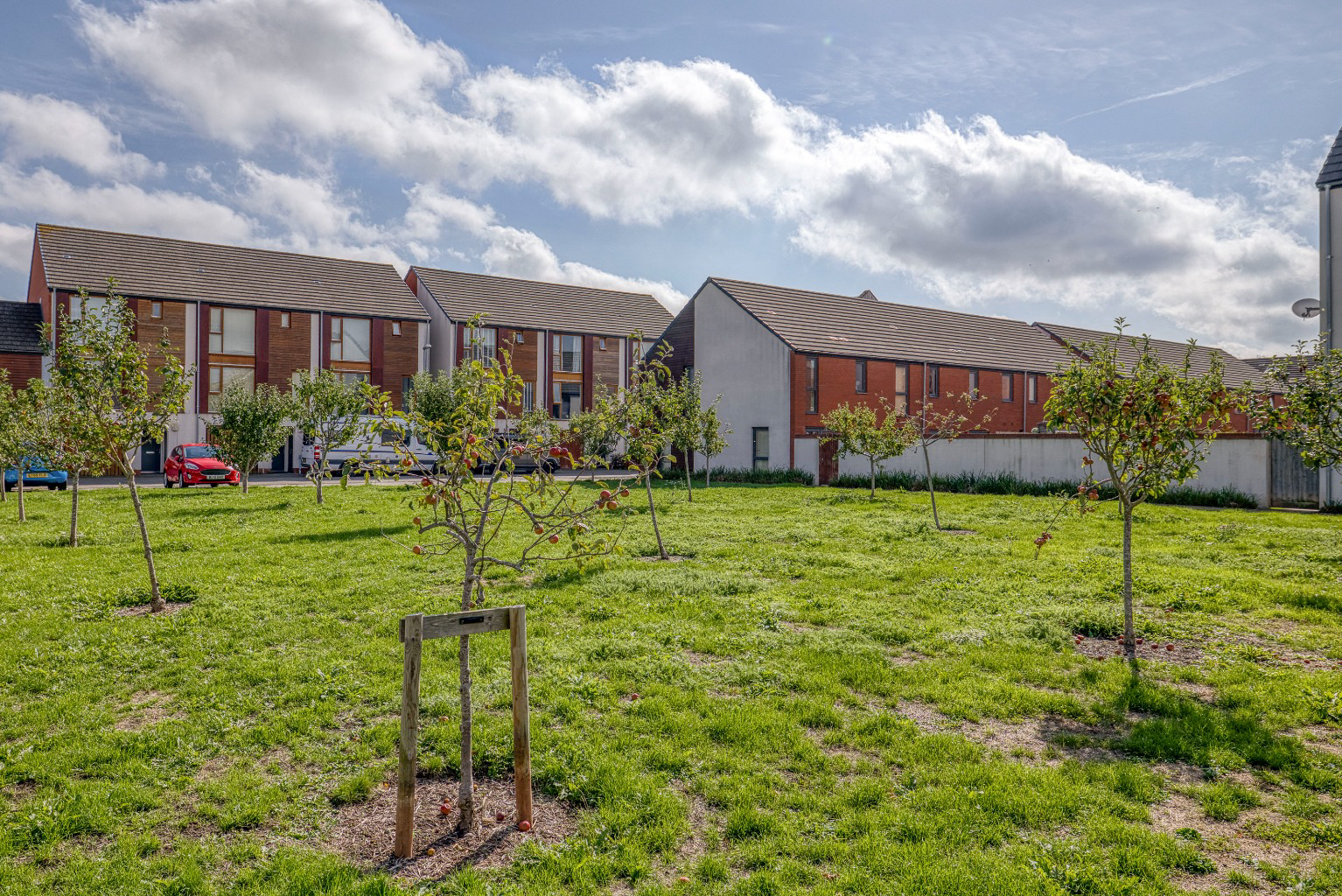 Street, Somerset, BA16, photo 21