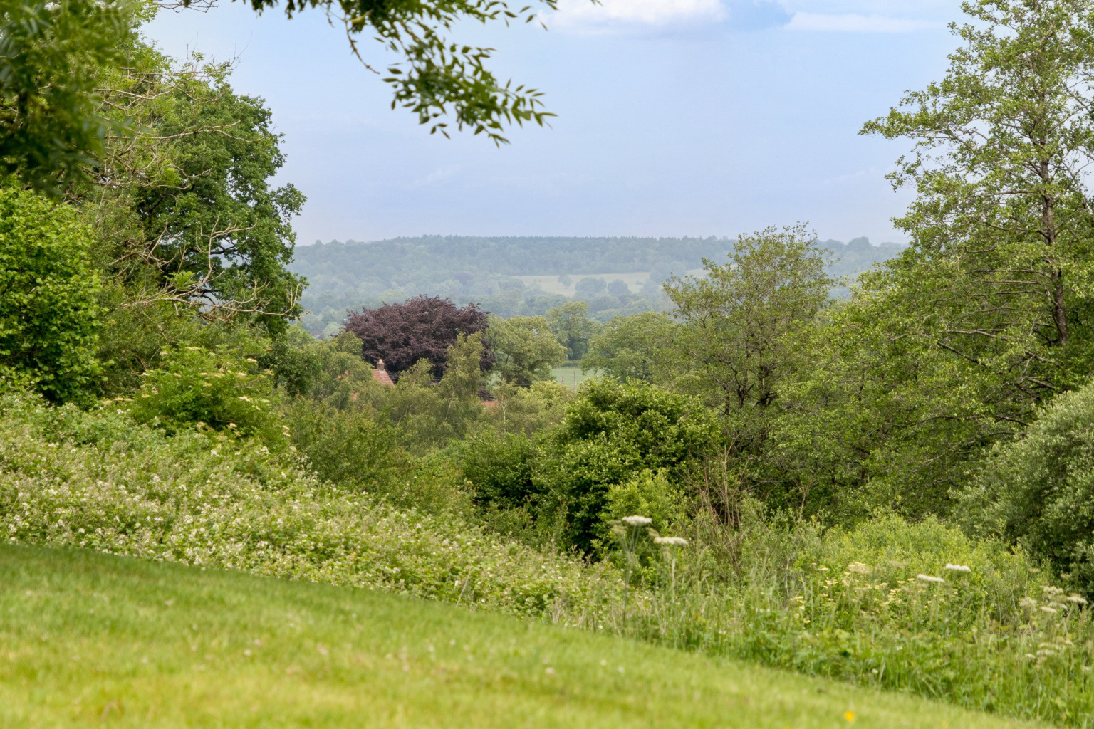 Media image 26