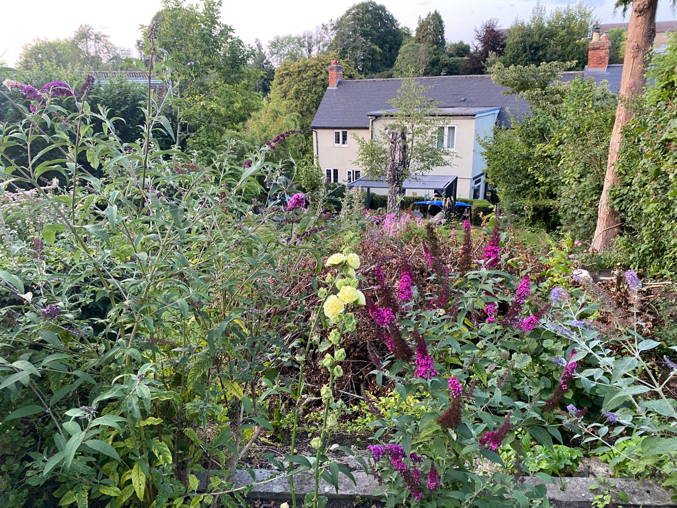 Lusty Gardens, Bruton, photo 24