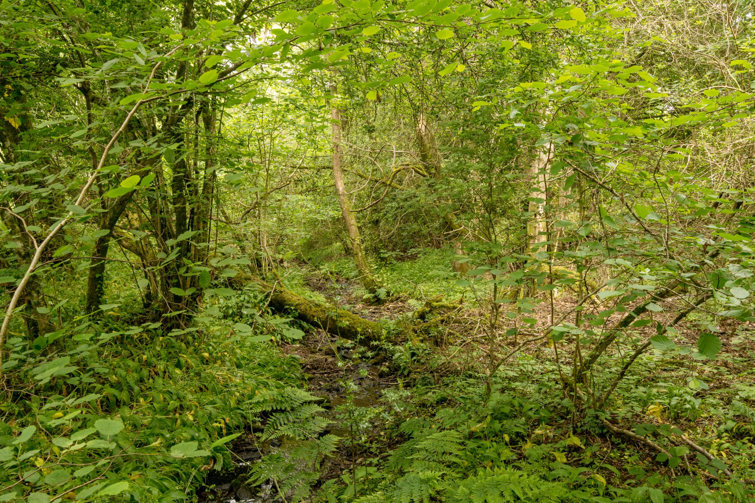 Media image 23