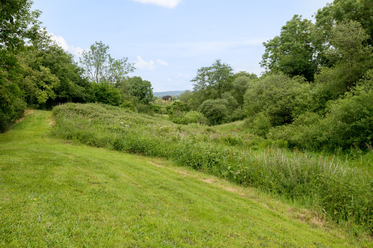 Media image 22