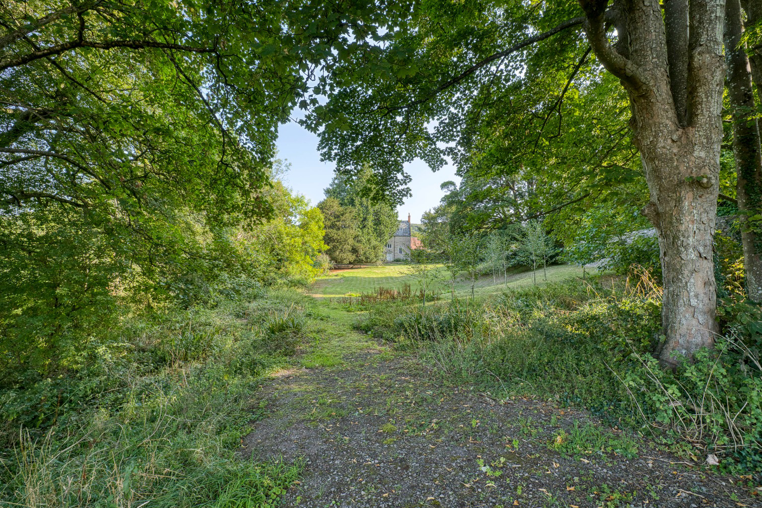 Manor house with circa 26 acres, a mile from Wells, photo 31