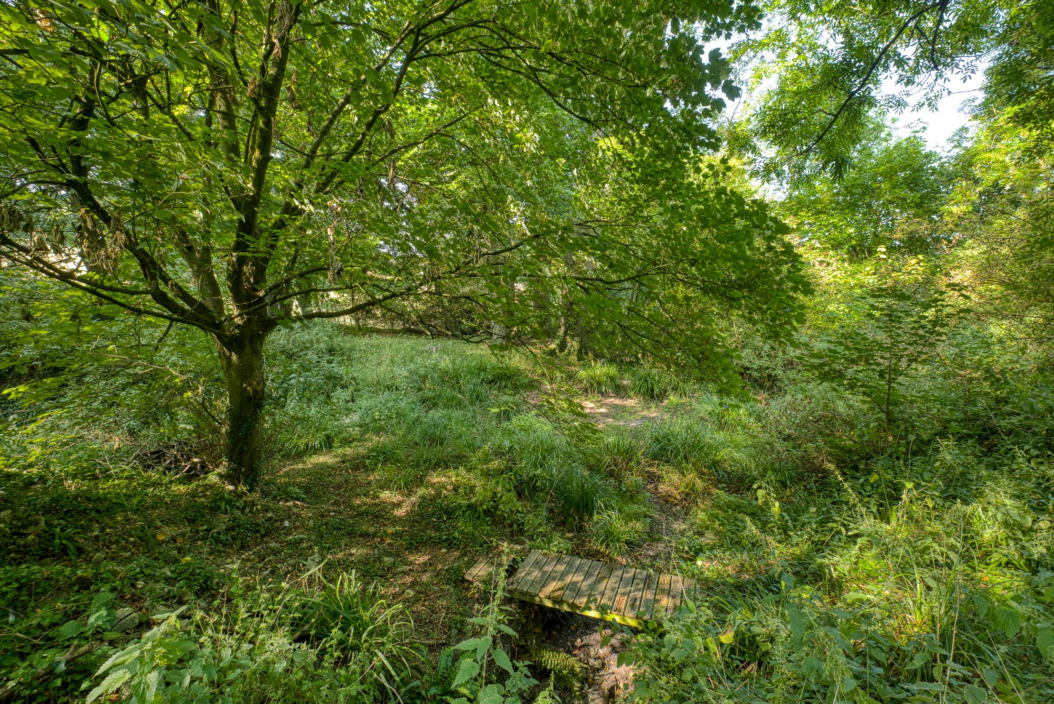Manor house with circa 26 acres, a mile from Wells, photo 39