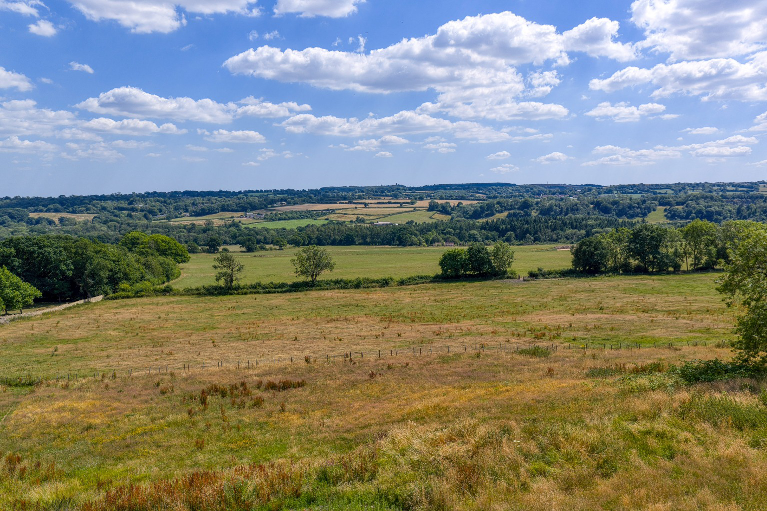 Media image 02