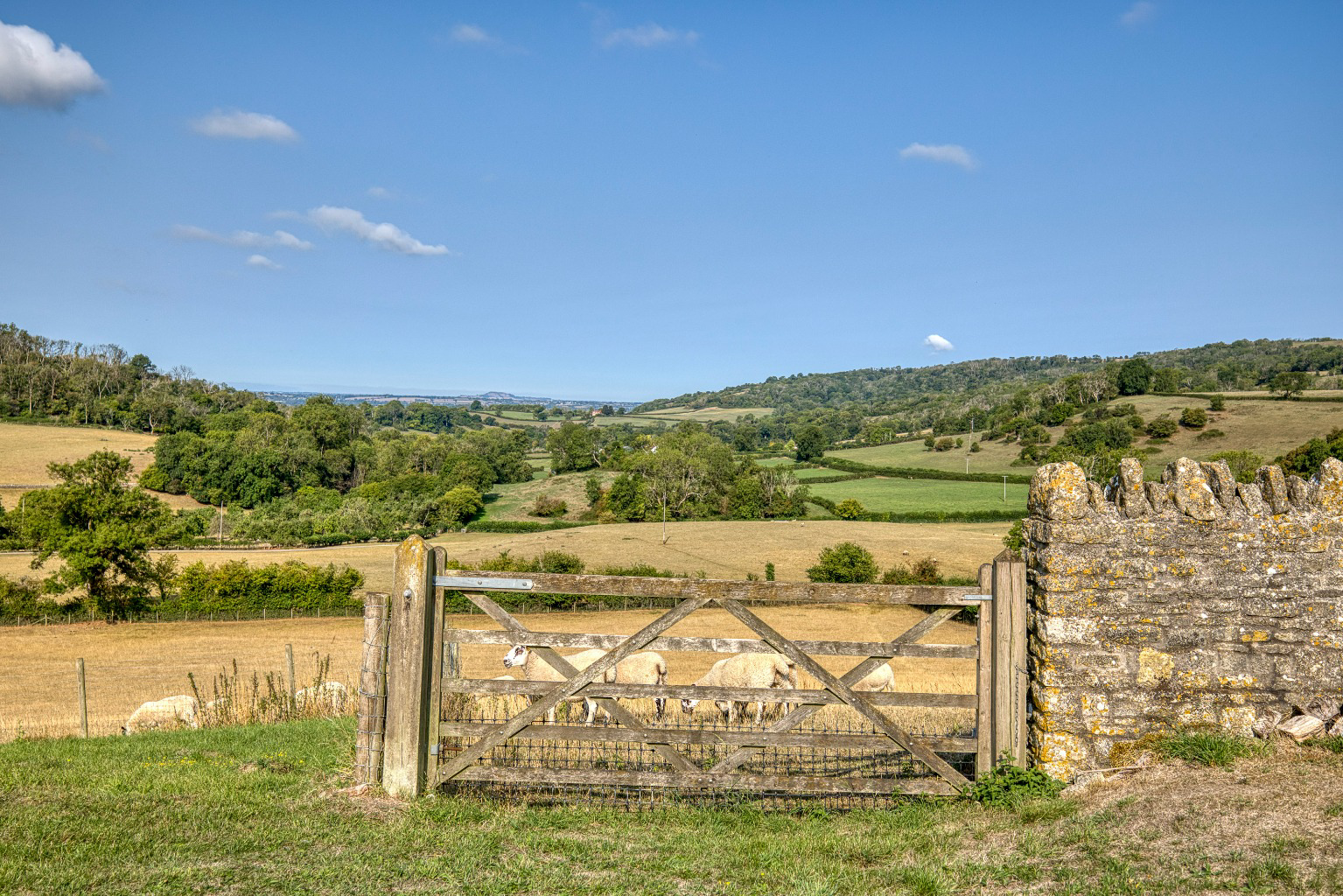 Manor house with circa 26 acres, a mile from Wells, photo 30