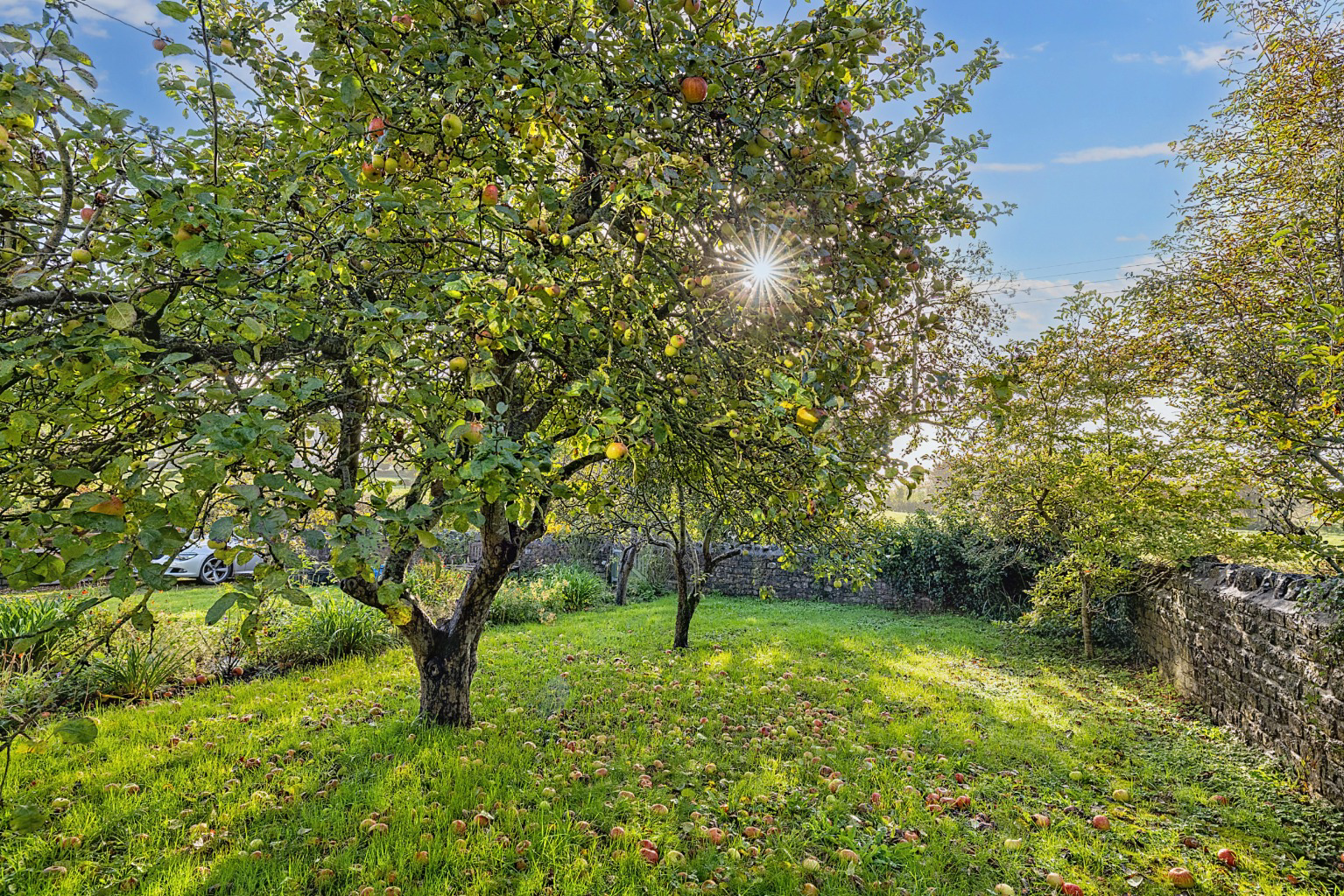 Badgworth, Nr. Axbridge and Wedmore, photo 19