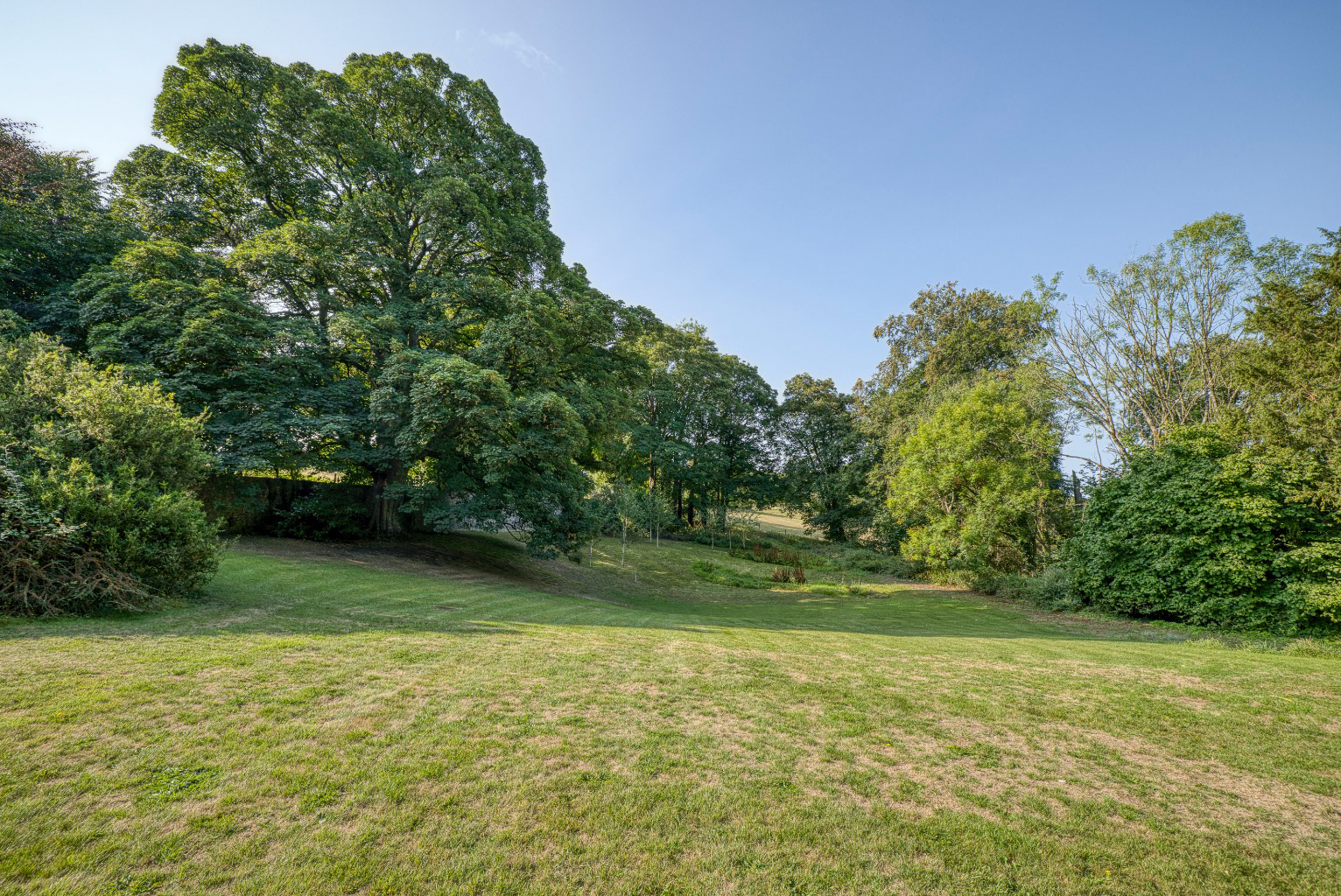 Manor house with 7 acres, near Wells, photo 29