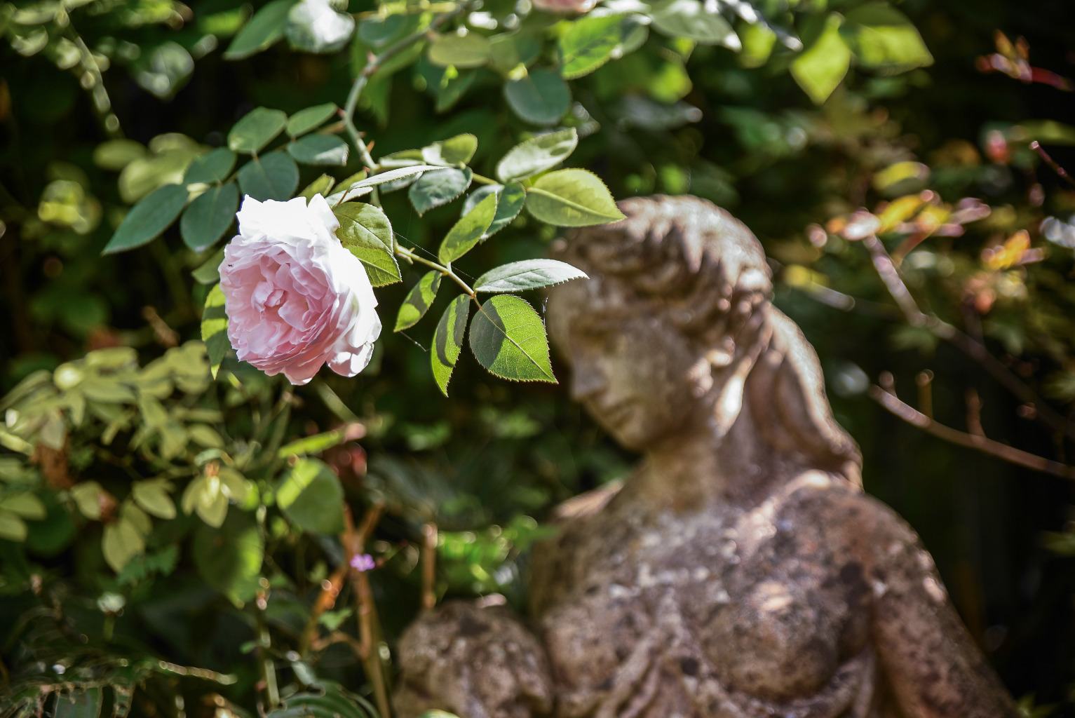 Lusty, Bruton, Somerset, BA10, photo 15