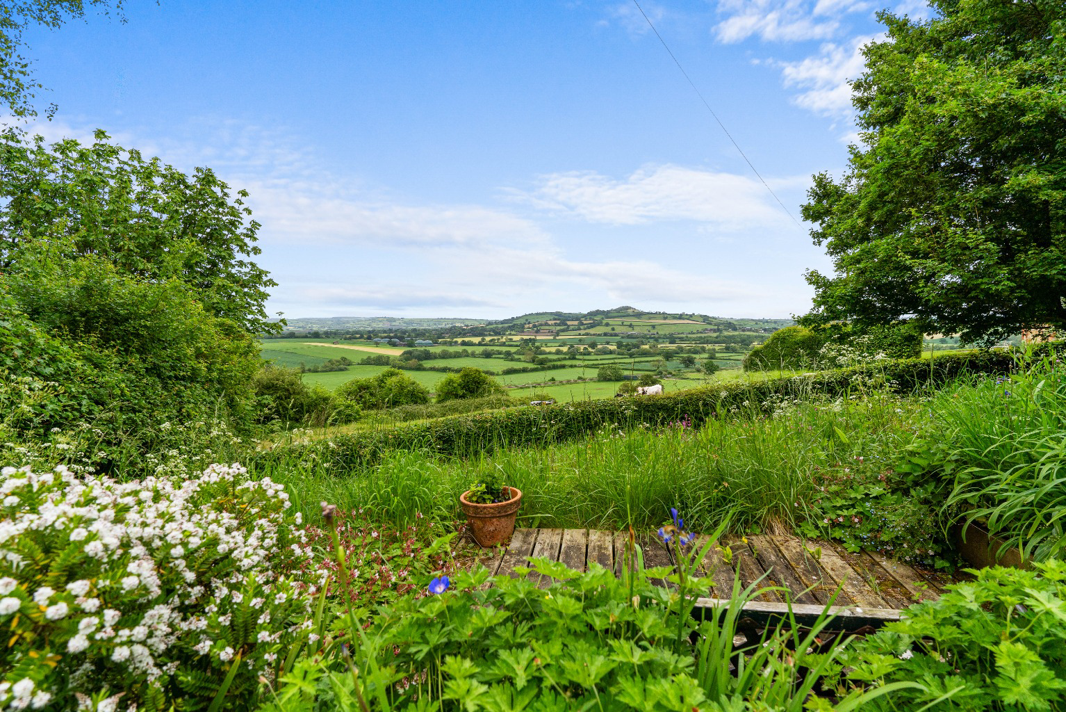 Ansford Park Farm, Ansford Park, Castle Cary, Somerset, BA7, photo 26