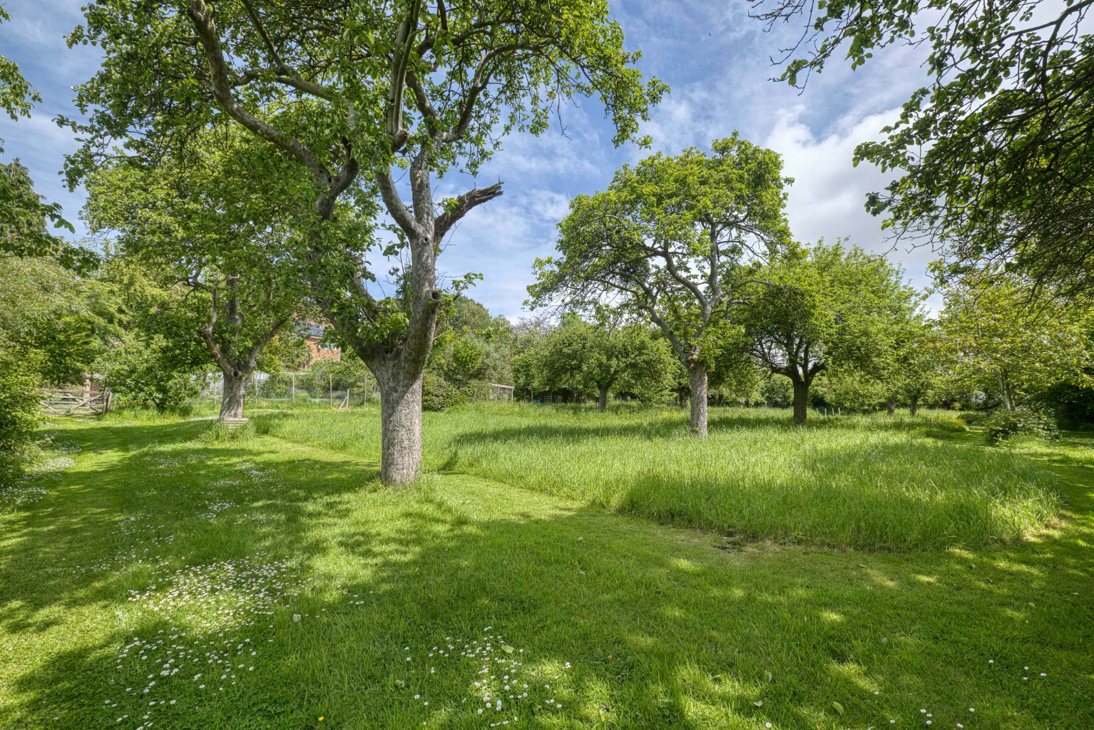 The Roman Way - with stunning garden, orchard and woodland in Glastonbury, photo 32