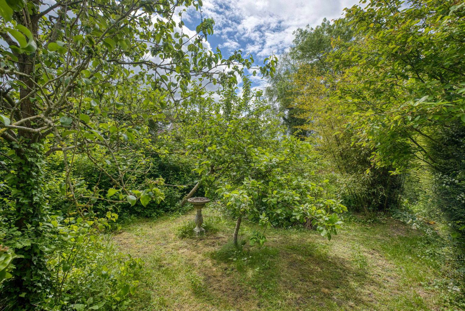 Lamyatt, photo 20