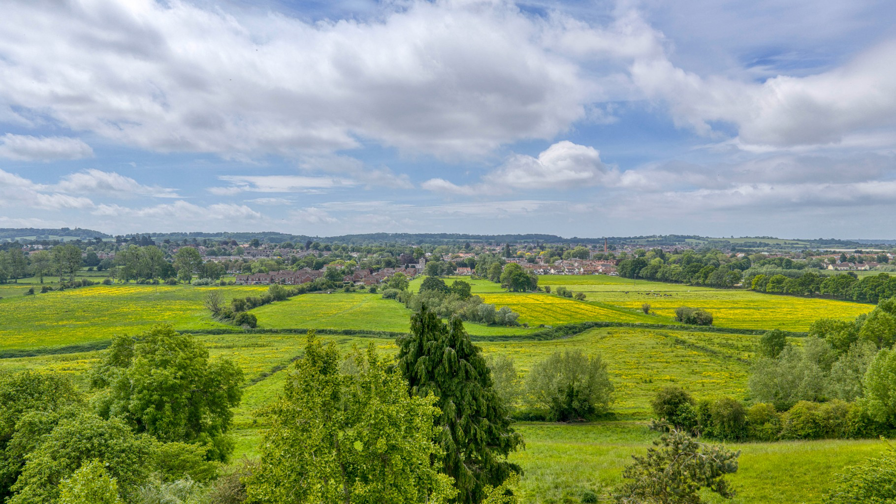 The Roman Way - with stunning garden, orchard and woodland in Glastonbury, photo 37
