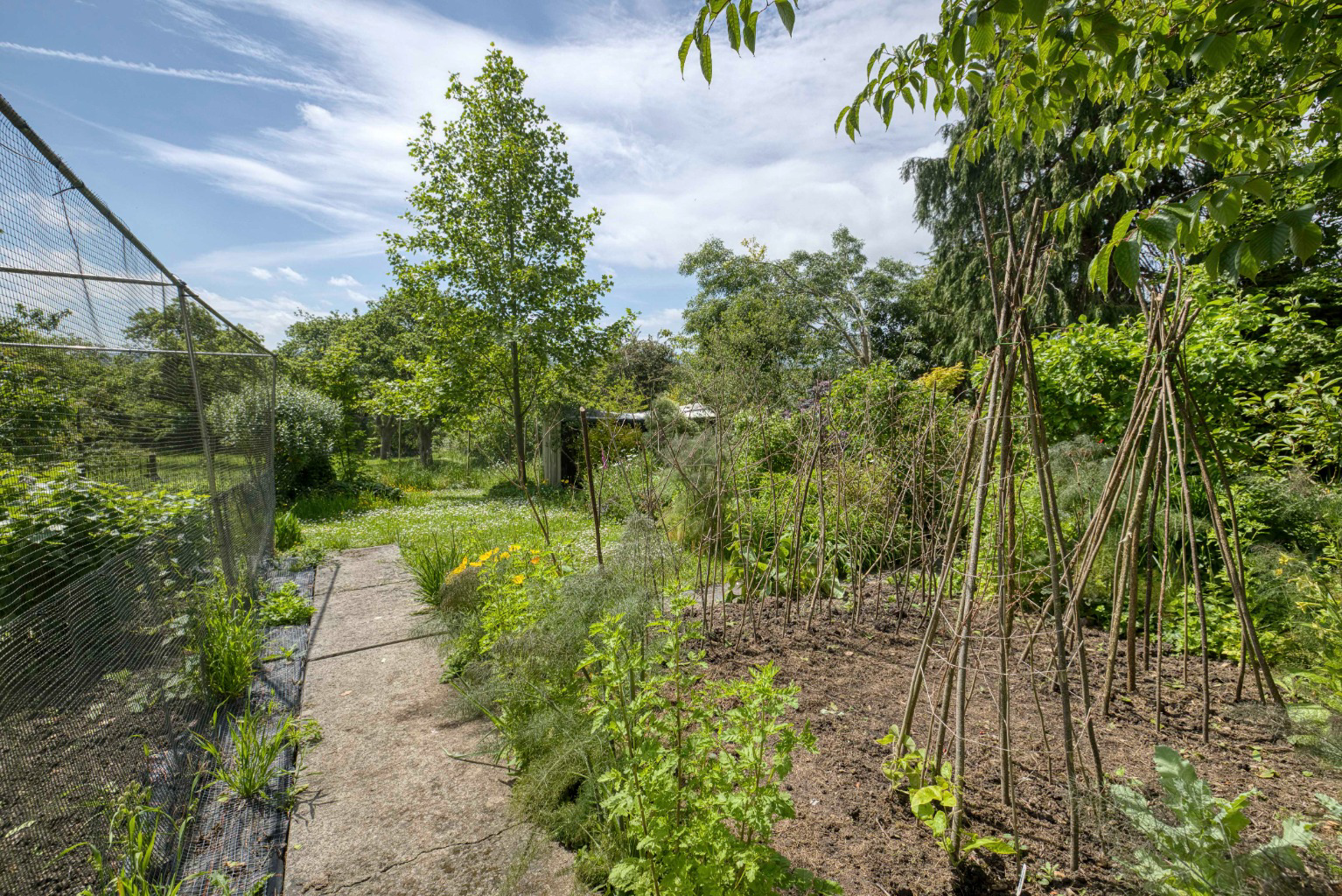 The Roman Way - with stunning garden, orchard and woodland in Glastonbury, photo 29