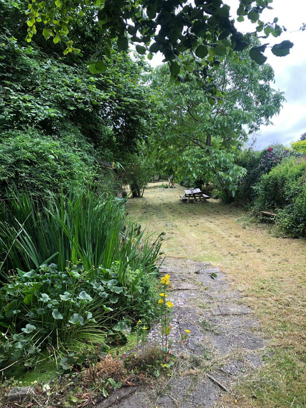 Photo 22