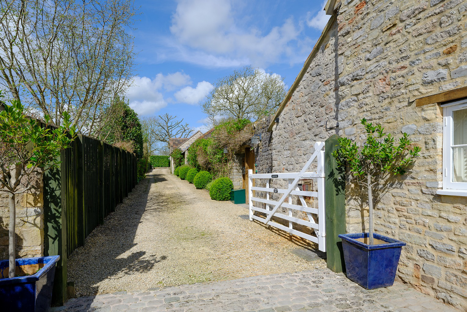 Media image 16