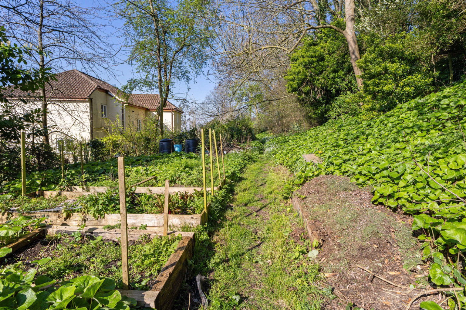 Tor Court, Glastonbury, photo 38