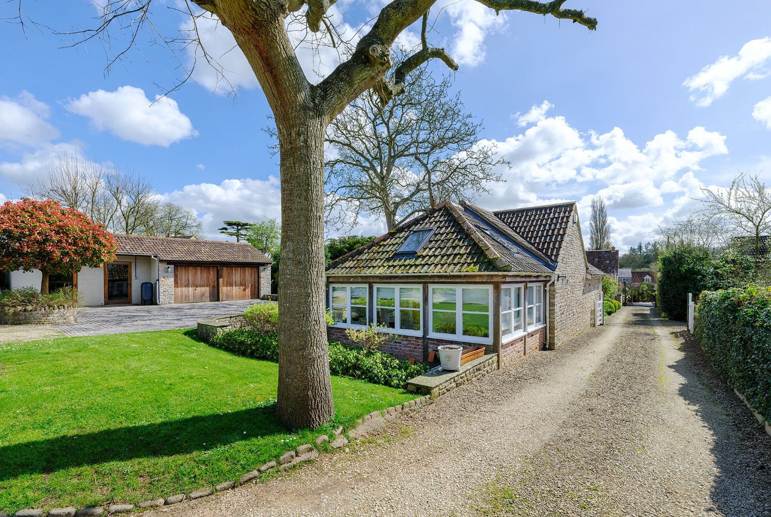 Media image 23