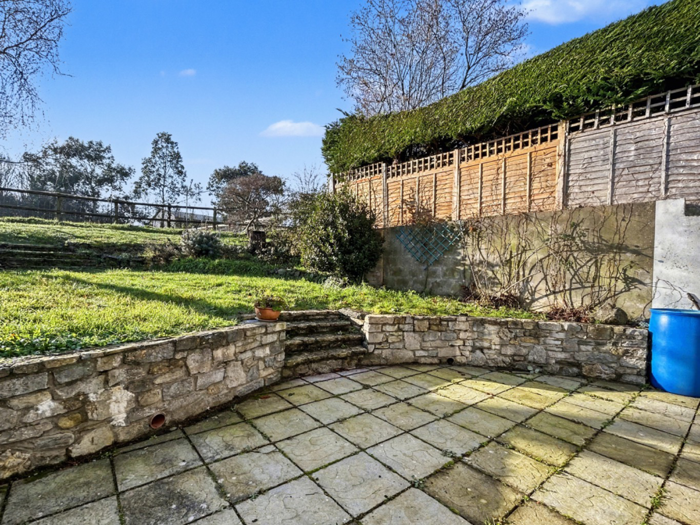 Media image 23
