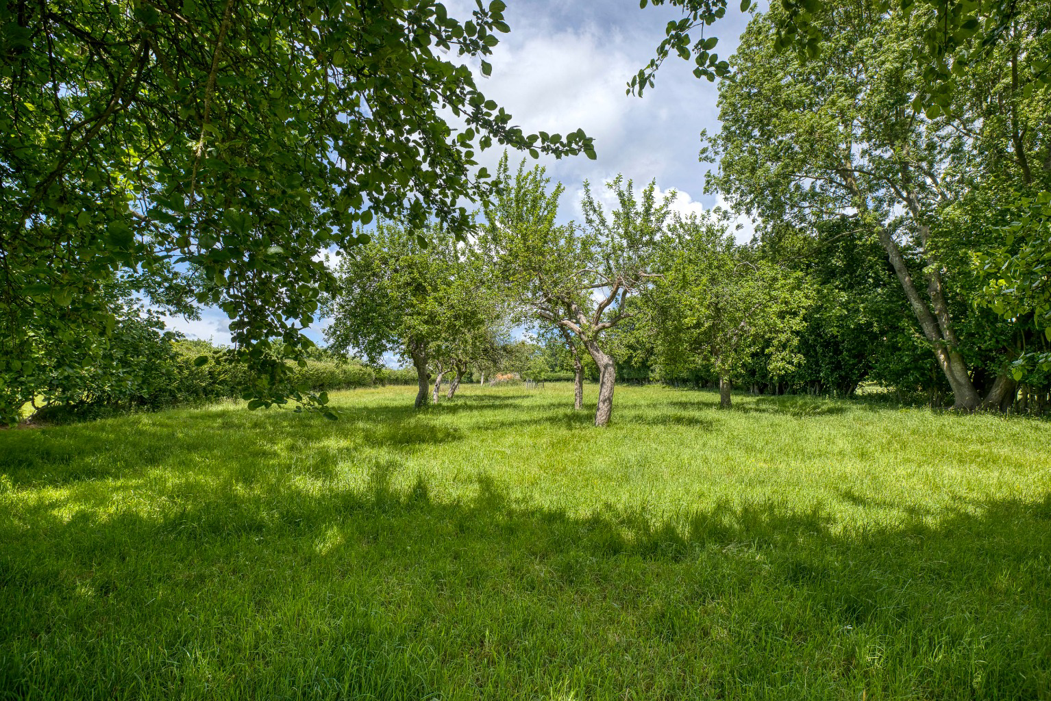 Media image 53