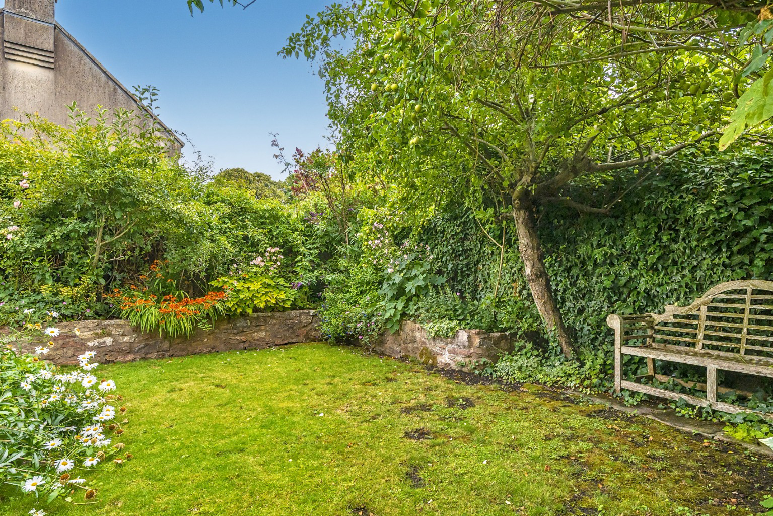 Central Wells, photo 23