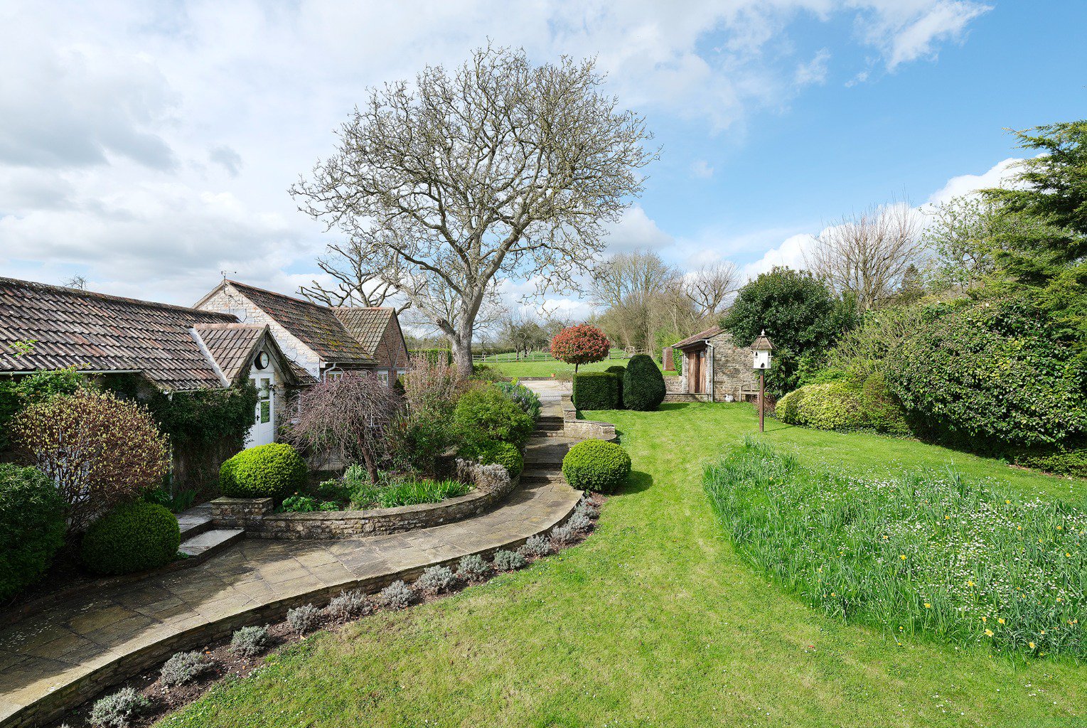 Media image 22