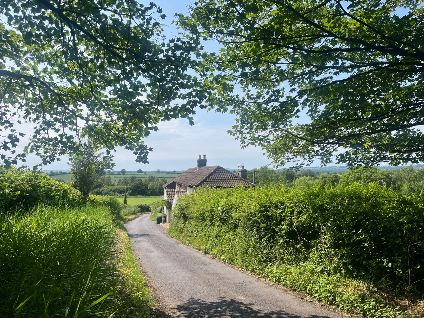South Cary Lane, Castle Cary, photo 49