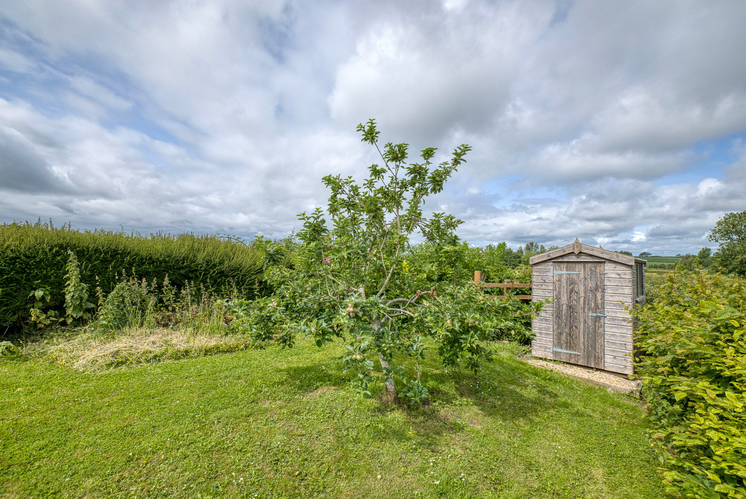 South Cary Lane, Castle Cary, photo 45