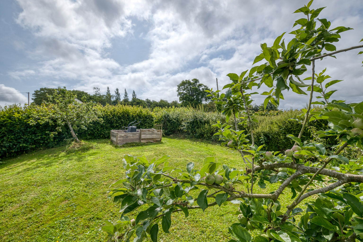 South Cary Lane, Castle Cary, photo 46
