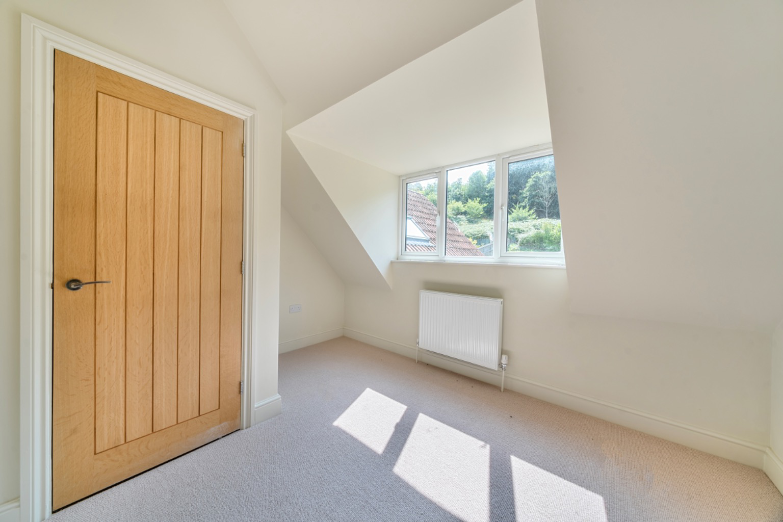 Hayes Road, Compton Dundon, photo 19