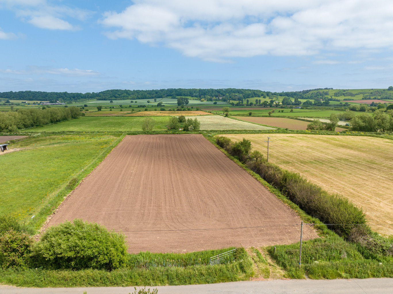 Hayes Road, Compton Dundon, photo 25