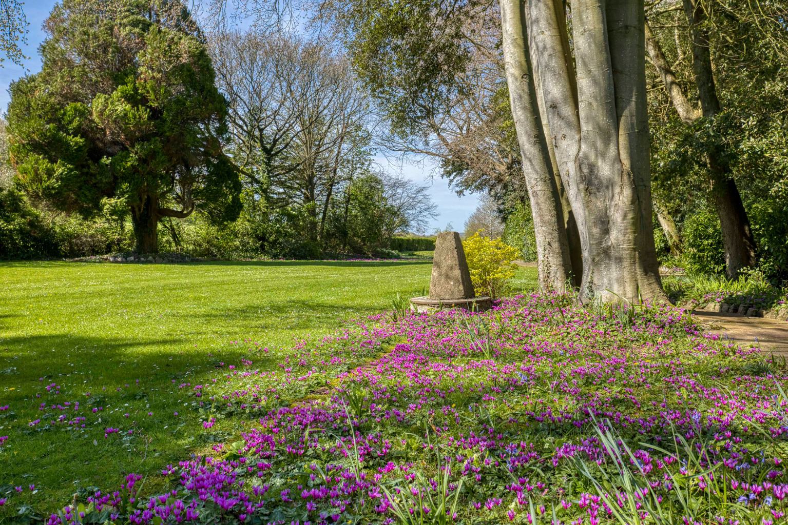 Photo 34