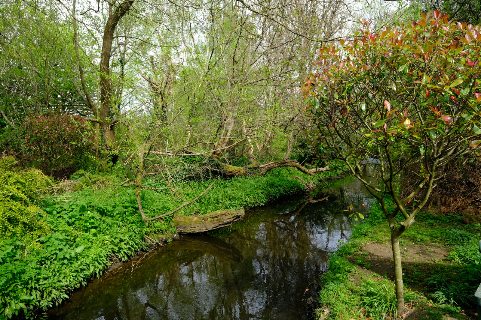 Photo 22
