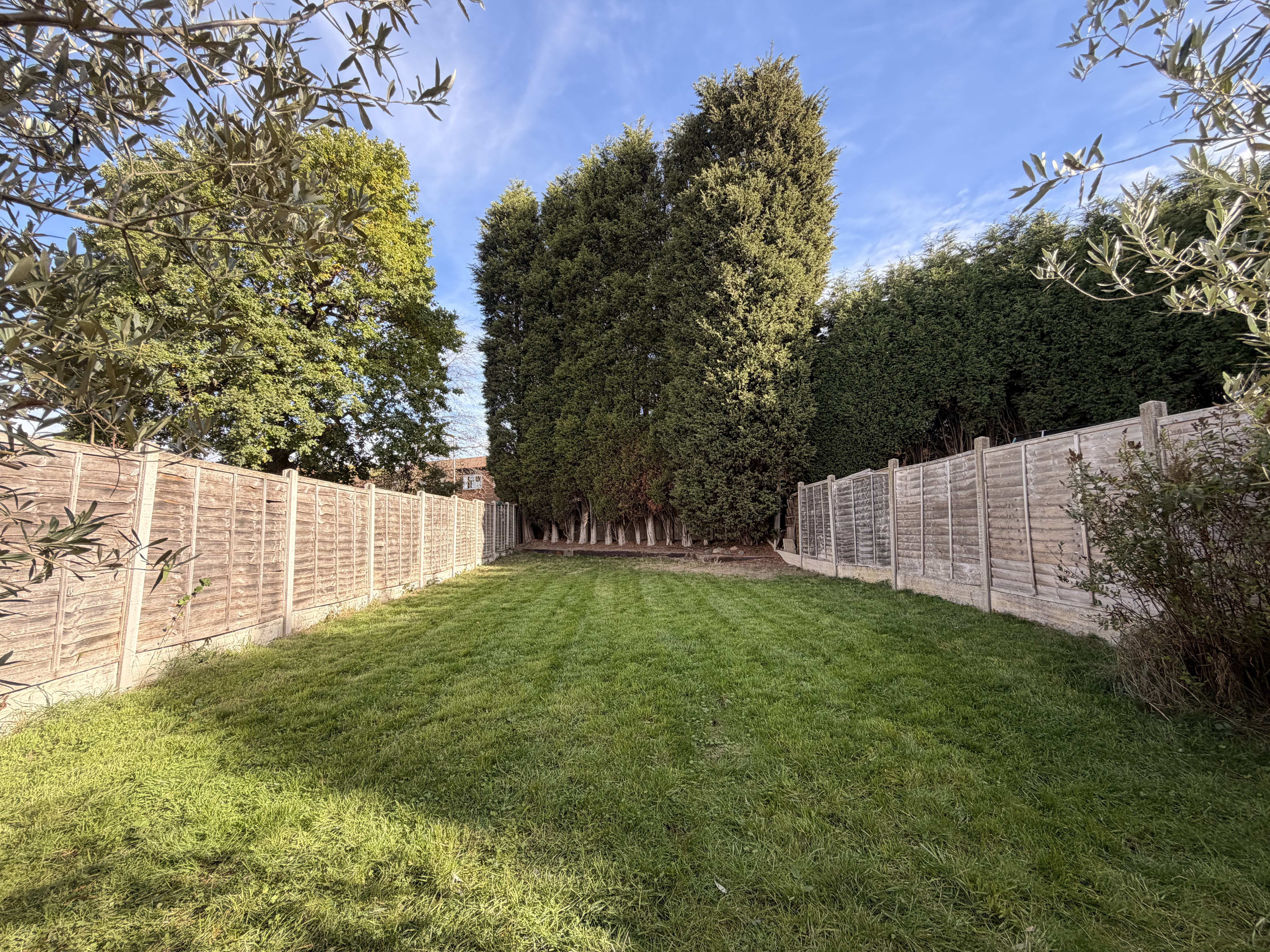 Sykesmoor, Wilnecote, B77, photo 27