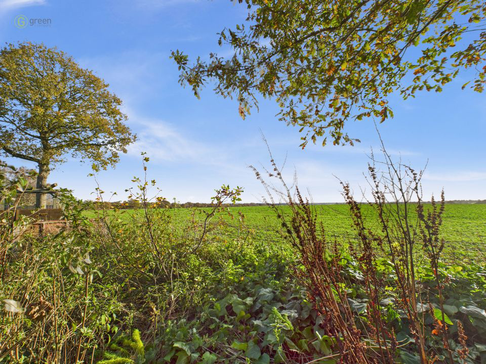 Hill Lane, Bassetts Pole, B75, photo 17