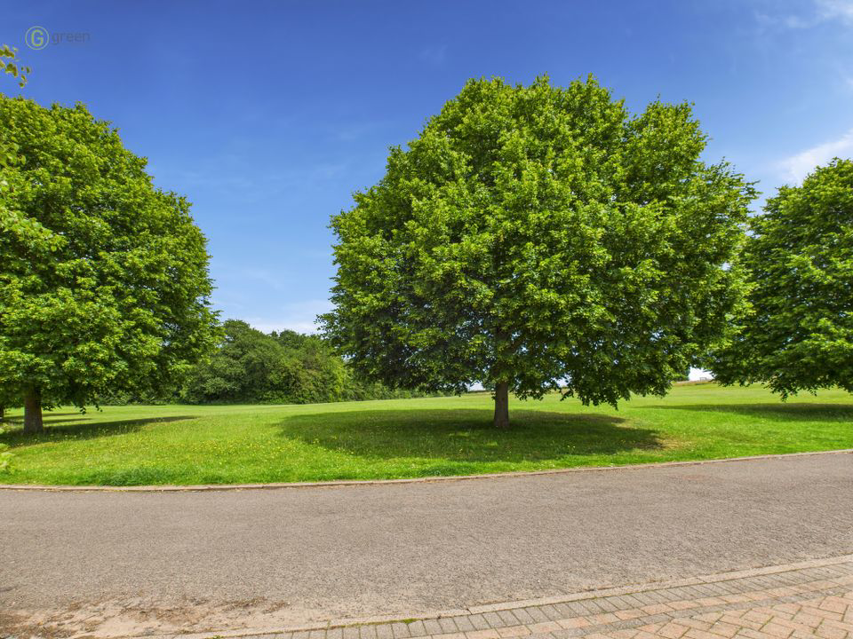 Vaughan Close, Sutton Coldfield, B74, photo 22