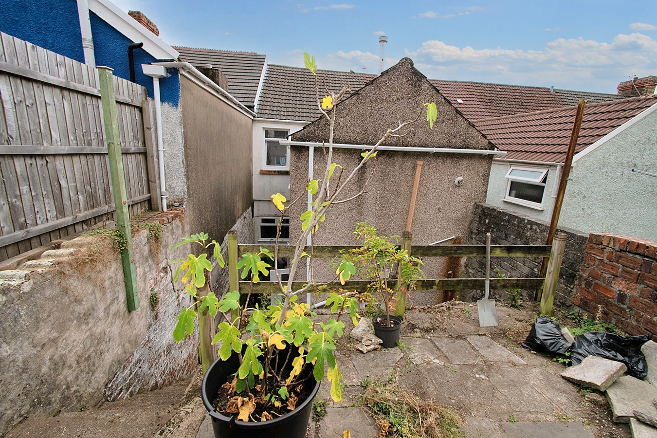 Photo 25
