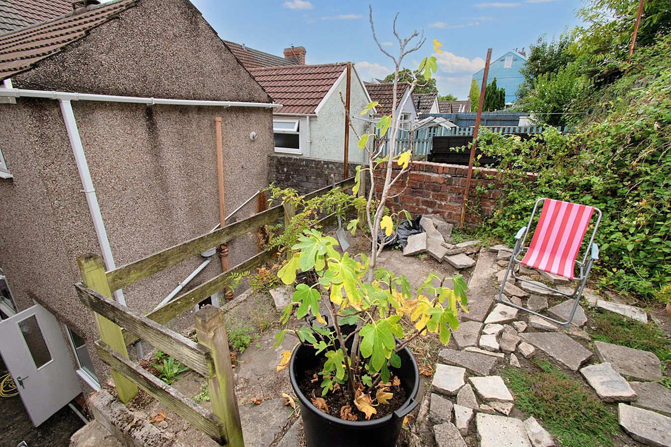 Photo 24