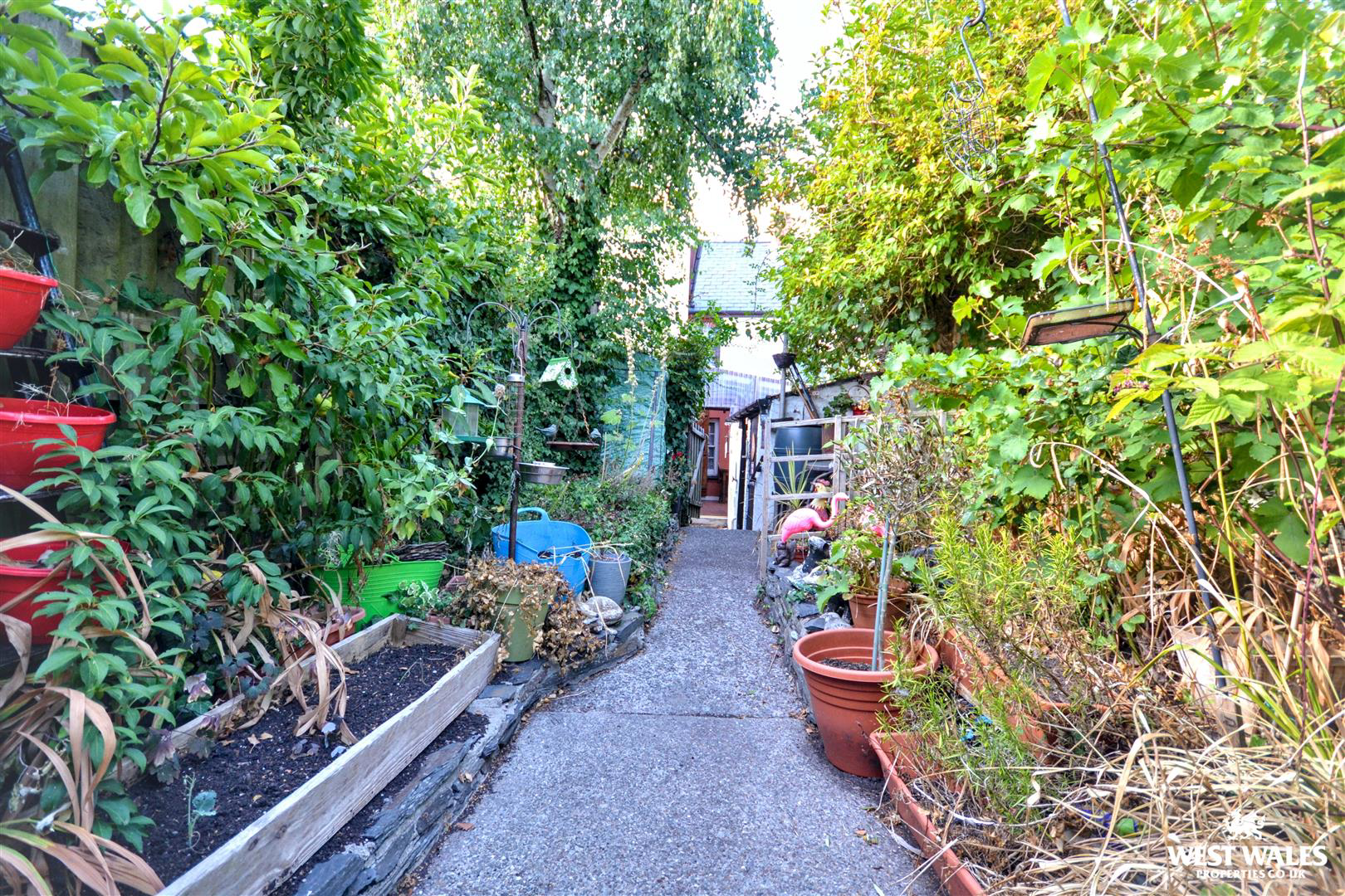 Photo 22