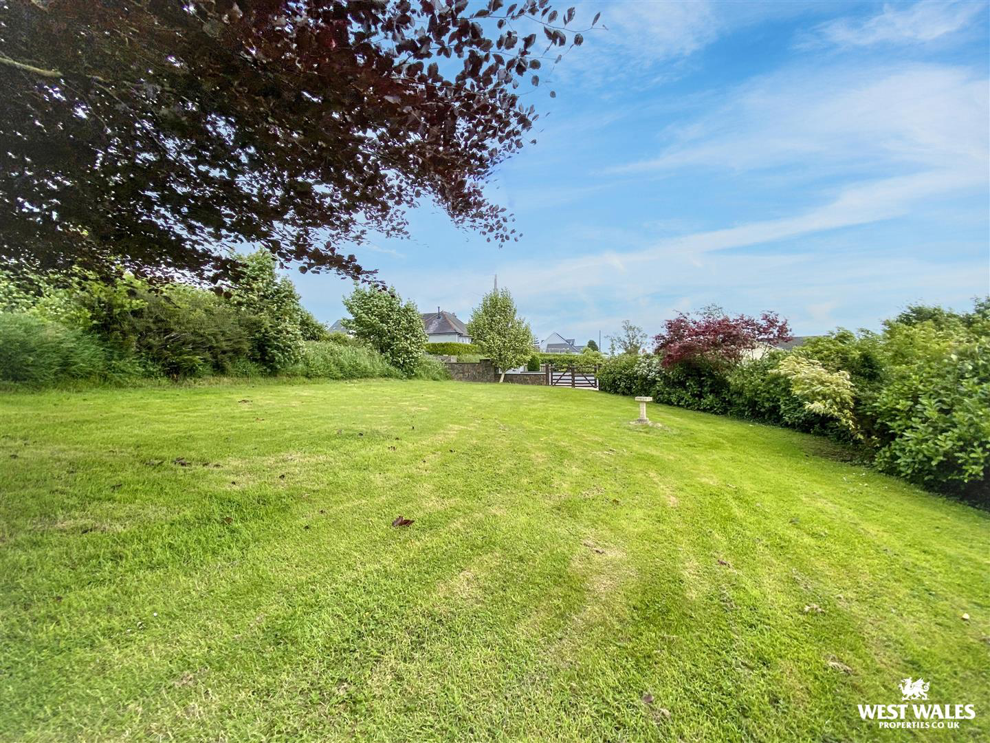 Templeton, Narberth, photo 32