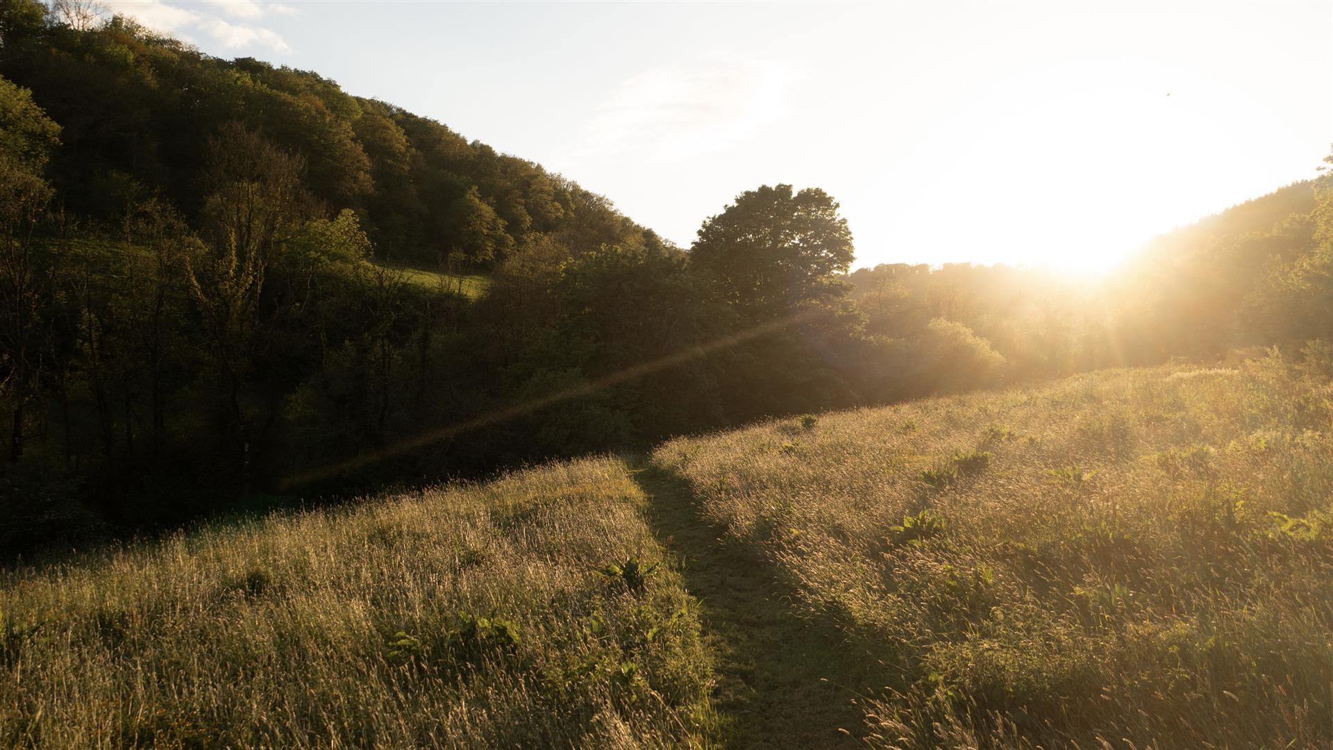 Login, Whitland, photo 17