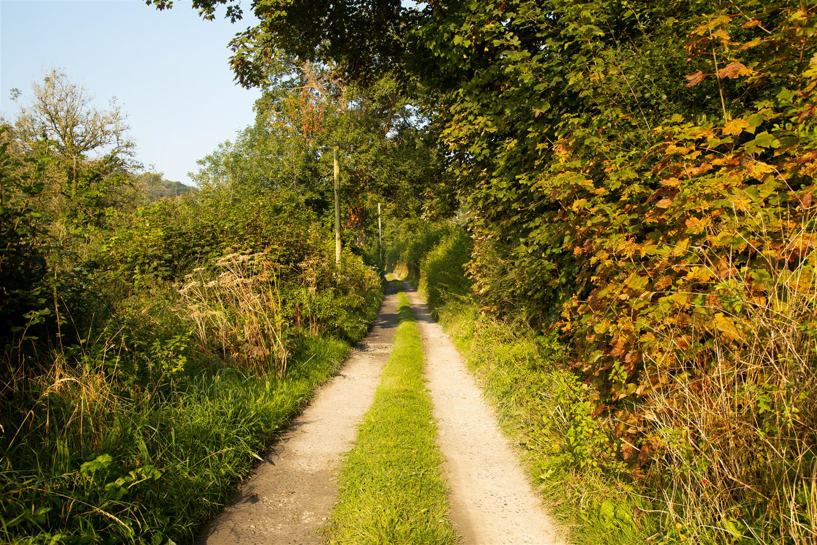 Login, Whitland, photo 16