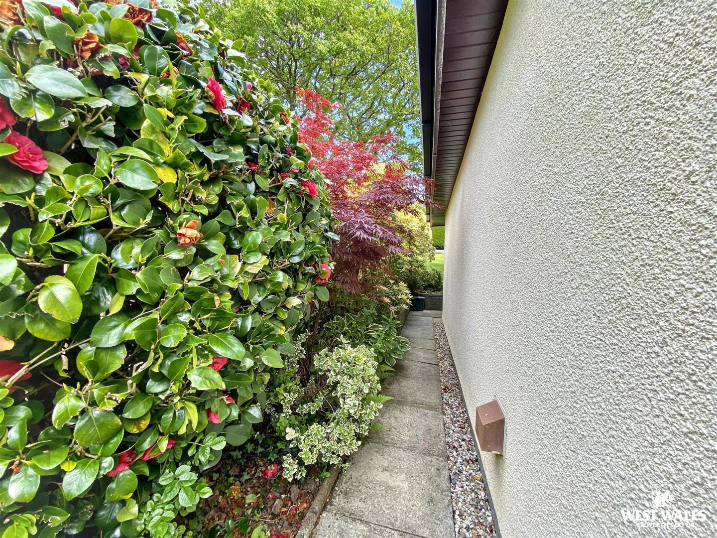 Bonvilles Close, Saundersfoot, photo 21
